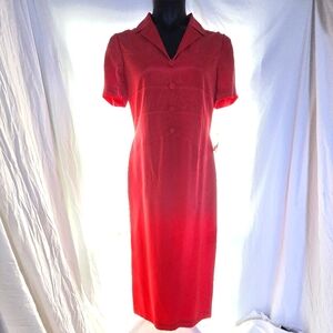 Beautiful Shomi 100% Silk Dress NWT